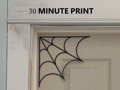 Spider Web 