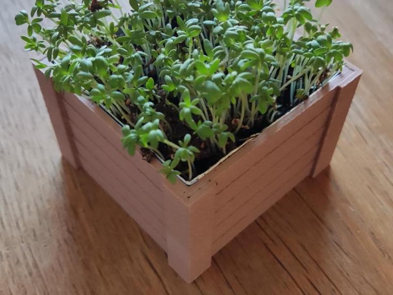 Herb pot with milk carton insert