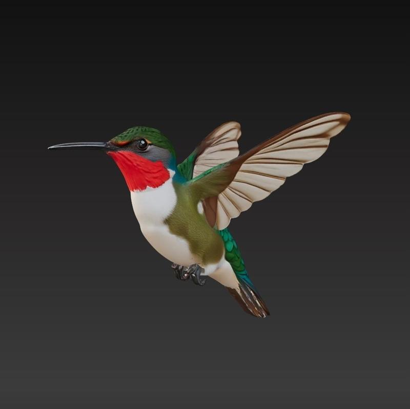 Hummingbird