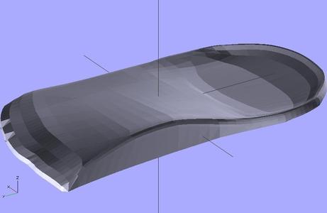 Orthotic Insoles (Supported)