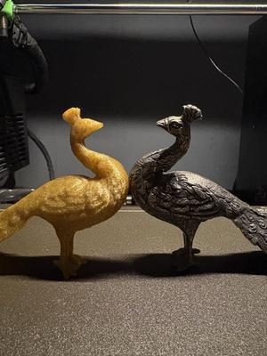 Peacock