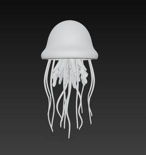 Jellyfish / Medusa