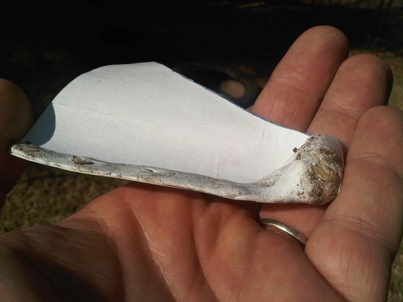 Flying  Mapleseed model