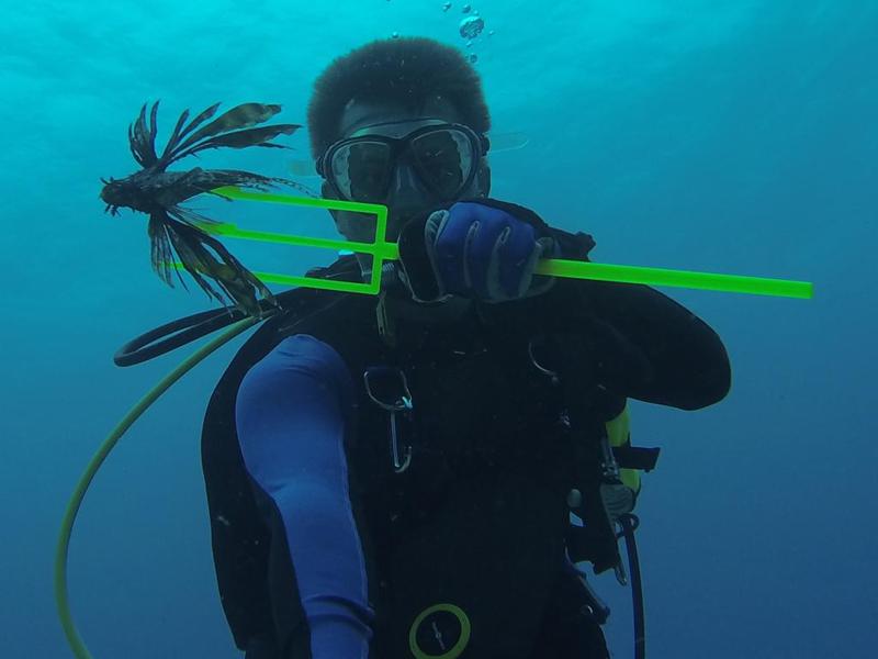 Customizable Spear for LIONFISH Fishing / Hunting