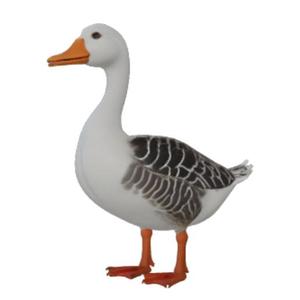 Playful Cartoon Duck