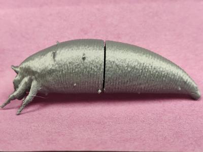 Phyllocoptes (Immature Stage)