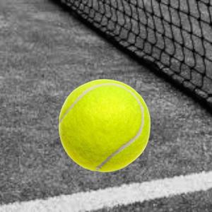 Tennis Ball Key Chain 🎾