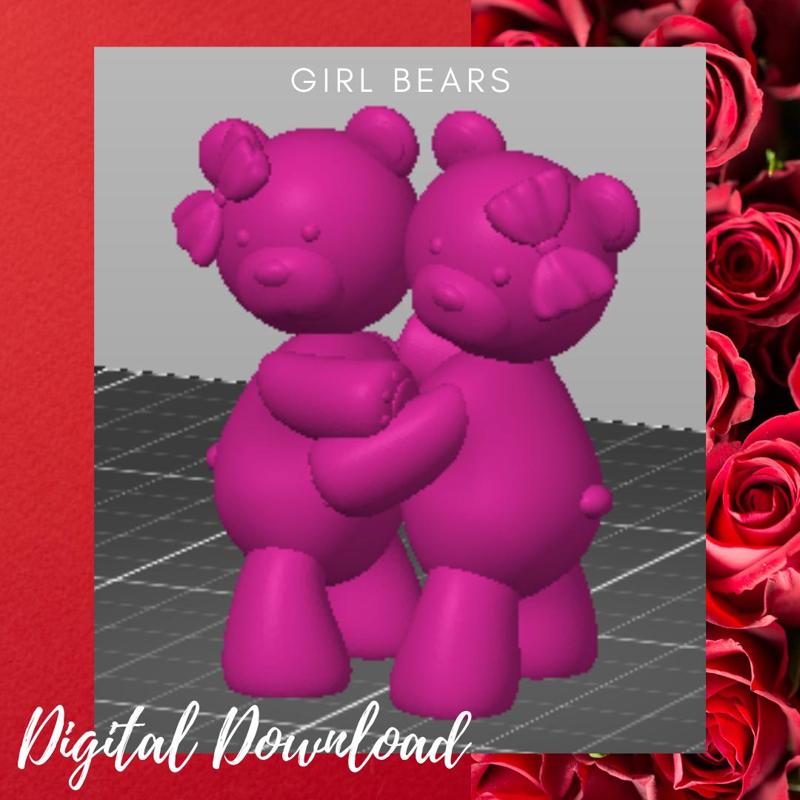 Bear twins girls / baby shower decor / daughter decor/ mom of girls/ dad of girls/ twins/ Its a girl / cake topper / gift /bears