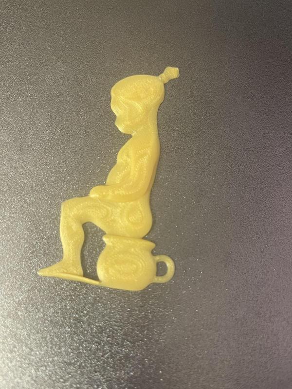 Toilet Girl (door sign)