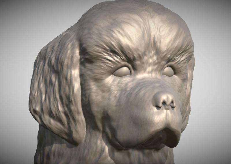 Puppy of Tibetan Mastiff head for 3D printing