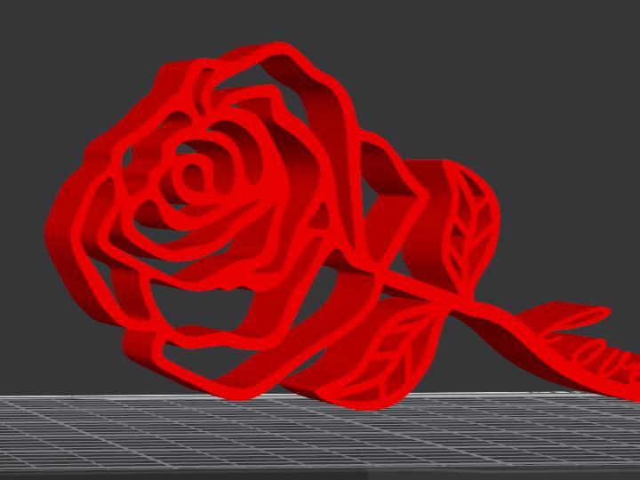 Rose with inscription