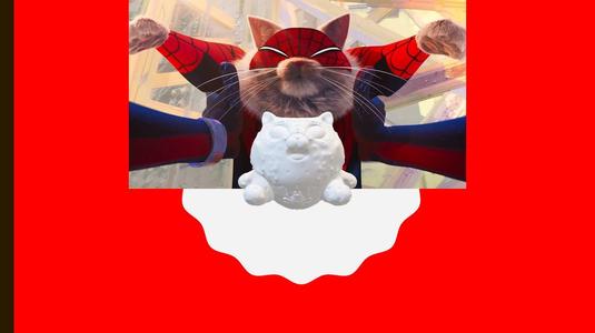 spider-cat