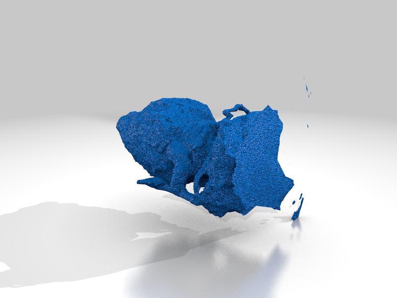 Duke Thomas The Signal