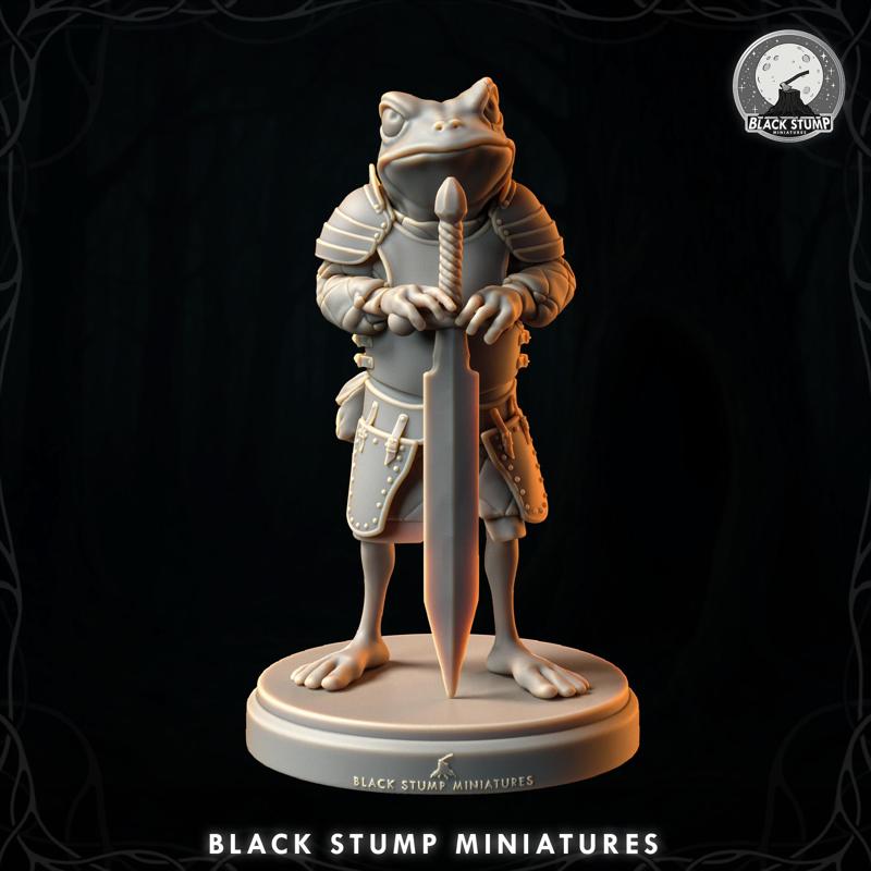 Wubwub Paladin Hero + Bases + Original Race 5E + Shadowdark .PDF!