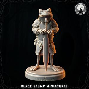 Wubwub Paladin Hero + Bases + Original Race 5E + Shadowdark .PDF!