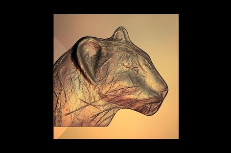 tiger leopard