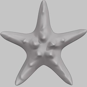 Starfish