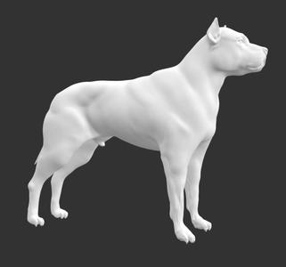 Pitbull