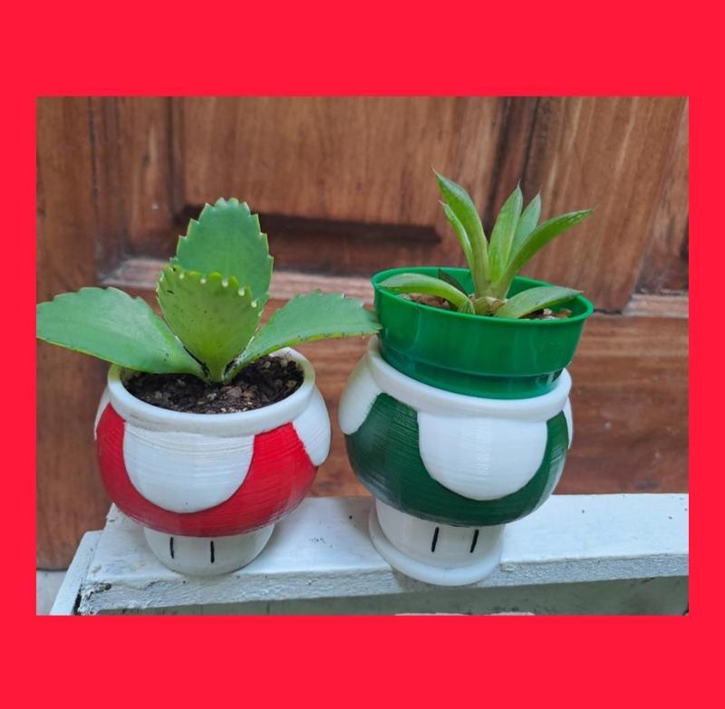 1 UP mario Planter/ Pot / Macetta 1UP Mario