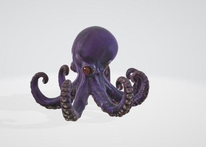 Octopus with 6 tentacles