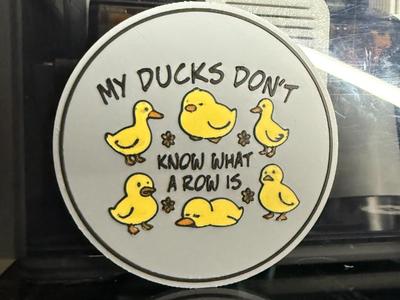 MY DUCKS DON'T KNOW WHAT A ROW IS 