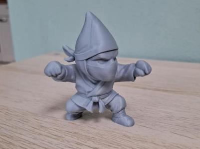Stealthy Ninja Gnome