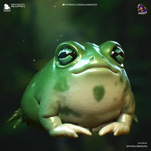 Wednesday Toad