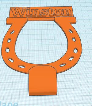 Horse shoe with hook