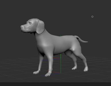Beagle