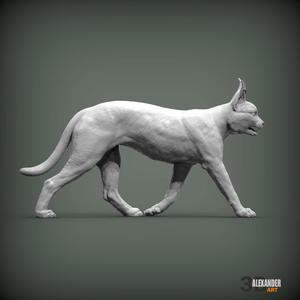 Caracal 3D print model