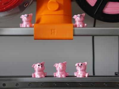 Cute Pink Piggy