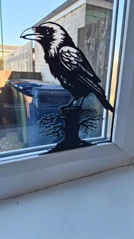 silhouettes black crow   