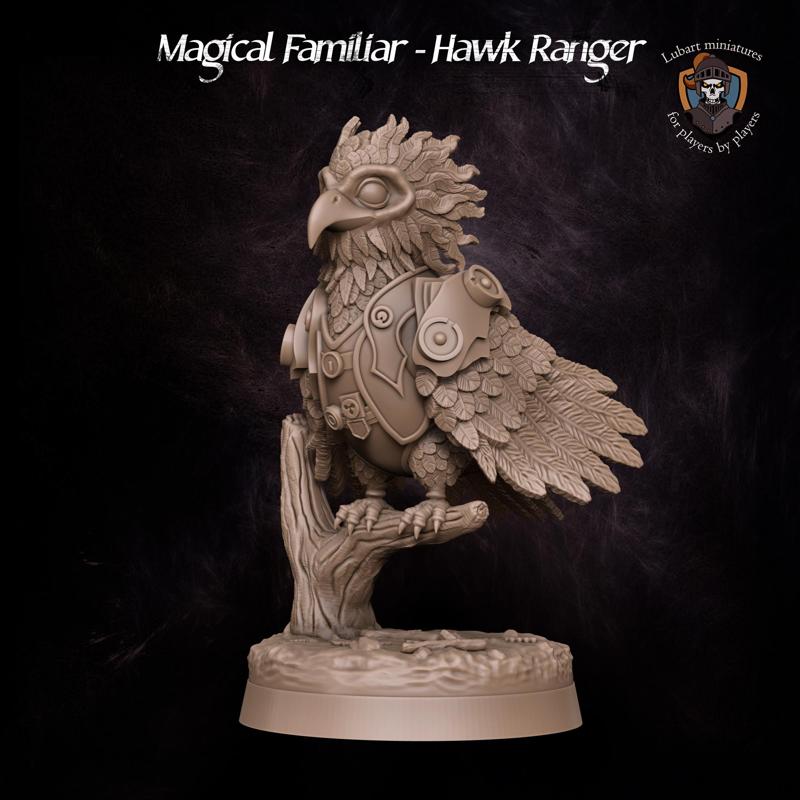 Magical Familiar - Hawk Ranger