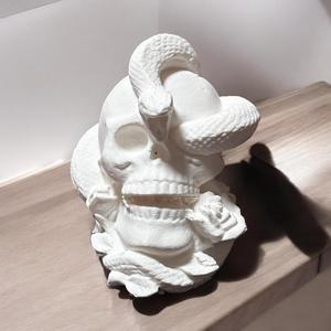 Skull with snake 3d scan
