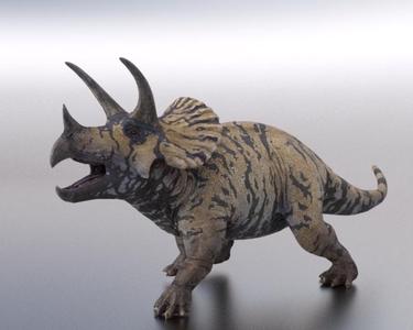 Triceratops Realistic Dinosaur low/ high Poly