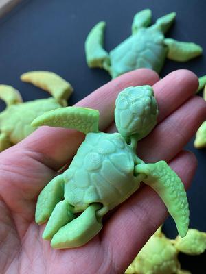 Sea Turtle and Hatchling