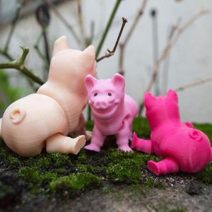 Flexy cute pig Print in place