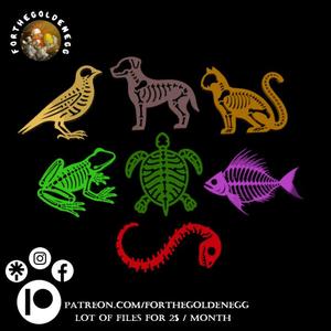 Keychains - Animal Bones