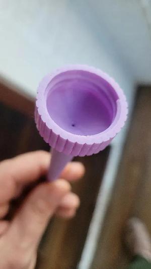 Water Bottle Plant Watering Spike   