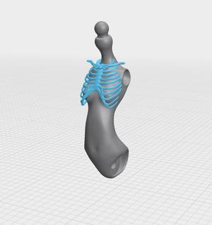 Ribs CHEST, SKELETON, ACCESSORY FOR A MONSTER HIGH OR EVER AFTER HIGH DOLL.