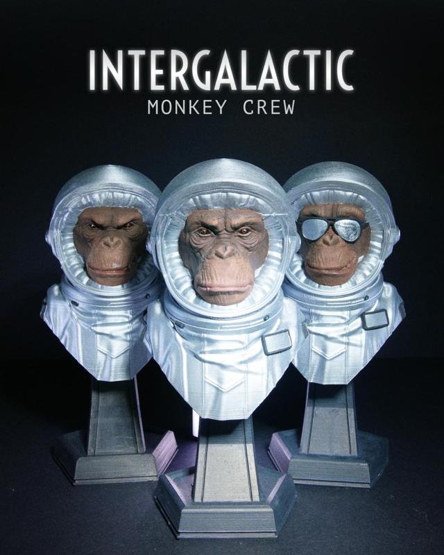Intergalactic Monkey Crew