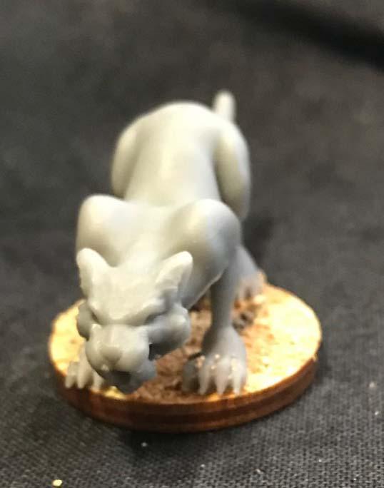Sabertooth Cat