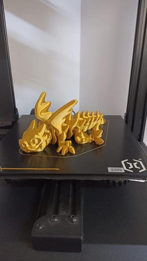 Nice Big Dragon