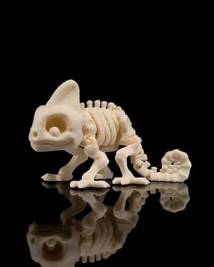 Articulated Chameleon Skeleton