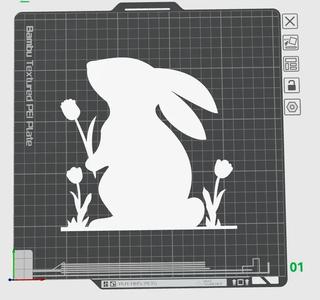Rabit   