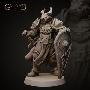 Knight Sword and Shield - Modular Head