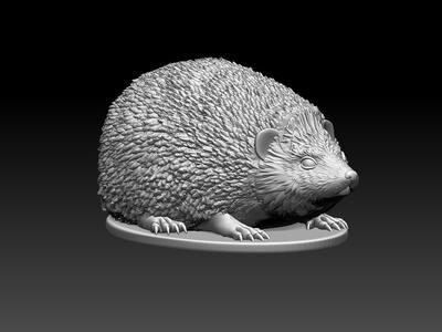 hedgehog