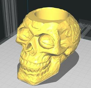 Skull Mate