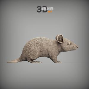 Mouse 3D print model