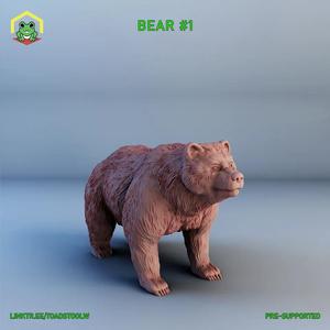 Bear #1   